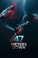 47 Meters Down 2017 BRRip 480p x264 AAC-VYTO [P2PDL]