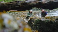 Chefs vs Wild S01 WEBRip x264-ION10 EZTV Chefs vs Wild S01 WEBRip x264-ION10 EZTV