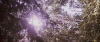 The Woods (2006) [BluRay] [720p] [YTS] [YIFY]