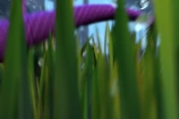 Beat Bugs S01E07 WEB x264-MEMENTO[eztv]