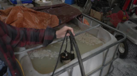 Moonshiners S13E15 XviD-AFG EZTV
