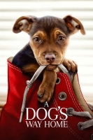 A Dogs Way Home 2019 HC HDRip XviD AC3-EVO[TGx]