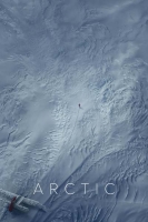 Arctic.2019.HC.HDRip.XviD.AC3-EVO[TGx]