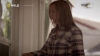 When Predators Attack S01E01 720p HDTV x264-EHD [eztv]