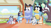 Bluey S01E09 iNTERNAL XviD-AFG EZTV