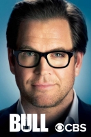 Bull 2016 S02E14 XviD-AFG