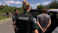 Cops S35E20 1080p HEVC x265-MeGusta EZTV