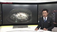 Newsroom Tokyo 2022 12 07 XviD-AFG EZTV Newsroom Tokyo 2022 12 07 XviD-AFG EZTV