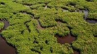 Swamp People Serpent Invasion S03E15 XviD-AFG EZTV