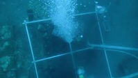 Drain The Oceans S04E05 XviD-AFG EZTV