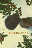 Burning Cane 2019 720p NF WEBRip 800MB x264-GalaxyRG