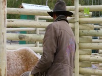 Breaking Wild S01E02 480p x264-mSD EZTV Breaking Wild S01E02 480p x264-mSD EZTV