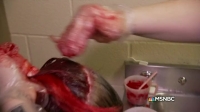 Lockup S22E06 Dead Run HDTV x264-W4F[eztv]