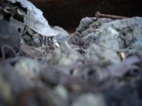 Port Protection S05E04 The Crusher 480p x264-mSD [eztv]