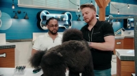 Pooch Perfect US S01E02 XviD-AFG EZTV Pooch Perfect US S01E02 XviD-AFG EZTV