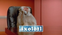 Absurd Planet S01E10 720p WEB x264-ASCENDANCE [eztv]