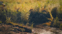 Gold Rush S14E20 XviD-AFG EZTV
