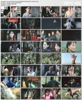 Fury Of Shaolin Fist [1972]x264DVDrip(KungFu Classics)