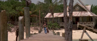 Flipper 1996 BRRip XviD MP3-XVID Flipper 1996 BRRip XviD MP3-XVID