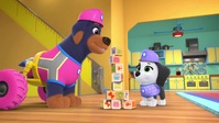 Pupstruction S01E06 720p WEB h264-DOLORES EZTV