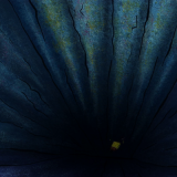 SpongeBob SquarePants S11E37 WEBRip x264-ION10