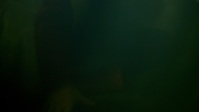 The Clearing S01E08 1080p HEVC x265-MeGusta EZTV