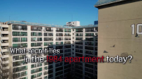 Apartment404 S01E06 XviD-AFG EZTV