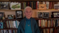 BBC HARDtalk - Dr Jane Goodall MP4 + subs BigJ0554 BBC HARDtalk - Dr Jane Goodall MP4 + subs BigJ0554