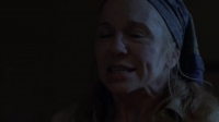 The Walking Dead Season 9 S09 complete 1080P hevc bluury