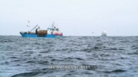 Deadliest Catch S15E06 720p WEB x264-TBS [eztv]