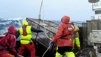 Deadliest Catch S19E15 720p WEB h264-CBFM EZTV Deadliest Catch S19E15 720p WEB h264-CBFM EZTV