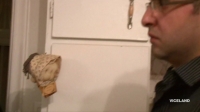 Intervention S08E16 720p HDTV x264-W4F[eztv]