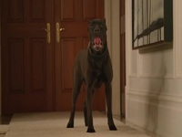 Animal Control S01E08 480p x264-mSD EZTV