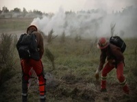 Fire Country S01E05 480p x264-mSD EZTV Fire Country S01E05 480p x264-mSD EZTV