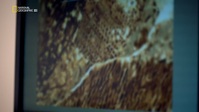 Hunting Alaskan Dinosaurs S01E01 1080p HEVC x265-MeGusta EZTV Hunting Alaskan Dinosaurs S01E01 1080p HEVC x265-MeGusta EZTV