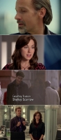 Being Erica S02 480p x264-ZMNT