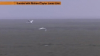 BBC Autumnwatch Extras 2015 11 02 PDTV x264-MVGroup EZTV