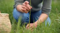 Nadias Farm S02E06 XviD-AFG EZTV