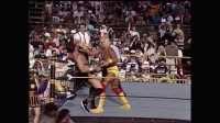 WWE WrestleMania 9 1993 XviD-AFG EZTV WWE WrestleMania 9 1993 XviD-AFG EZTV
