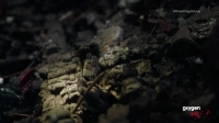 Three Days To Live S01E08 HDTV x264-W4F[eztv]