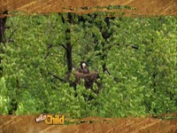 Wild Child S01E12 480p x264-mSD EZTV Wild Child S01E12 480p x264-mSD EZTV