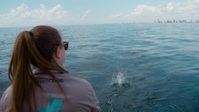 When Sharks Attack And Why S01E03 720p WEB h264-EDITH EZTV When Sharks Attack And Why S01E03 720p WEB h264-EDITH EZTV