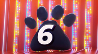 Totally Funny Animals S01E02 XviD-AFG EZTV