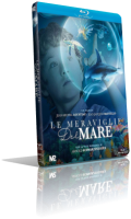 Le meraviglie del mare 2018 BDRip AC3 ITA CB01 Le meraviglie del mare 2018 BDRip AC3 ITA CB01