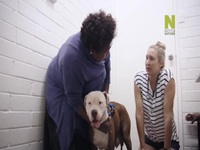 Outback Vet S01E01 480p x264-mSD EZTV Outback Vet S01E01 480p x264-mSD EZTV