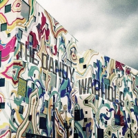 The Dandy Warhols – Why You so Crazy (2019)