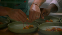 Top Chef S21E14 1080p WEB h264-EDITH EZTV Top Chef S21E14 1080p WEB h264-EDITH EZTV