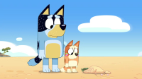 Bluey S03E41 1080p HEVC x265-MeGusta EZTV Bluey S03E41 1080p HEVC x265-MeGusta EZTV
