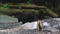 Island of the Sea Wolves S01E02 XviD-AFG EZTV