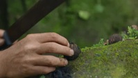 Primal Survivor Over The Andes S01E03 XviD-AFG EZTV
